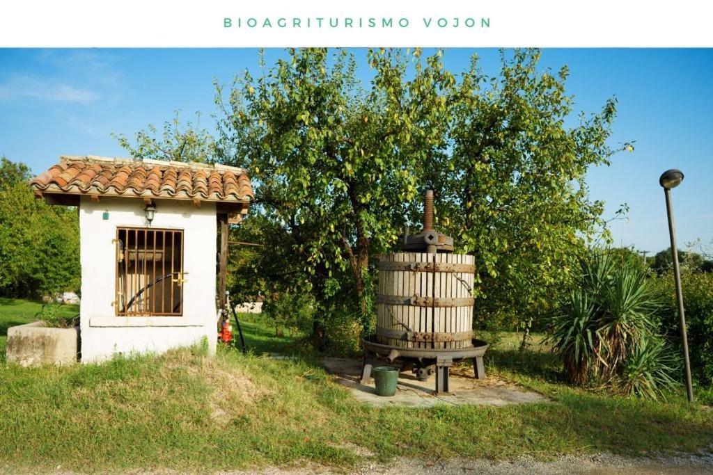 Bio Agriturismo Vojon Βίλα Ponti sul Mincio Εξωτερικό φωτογραφία