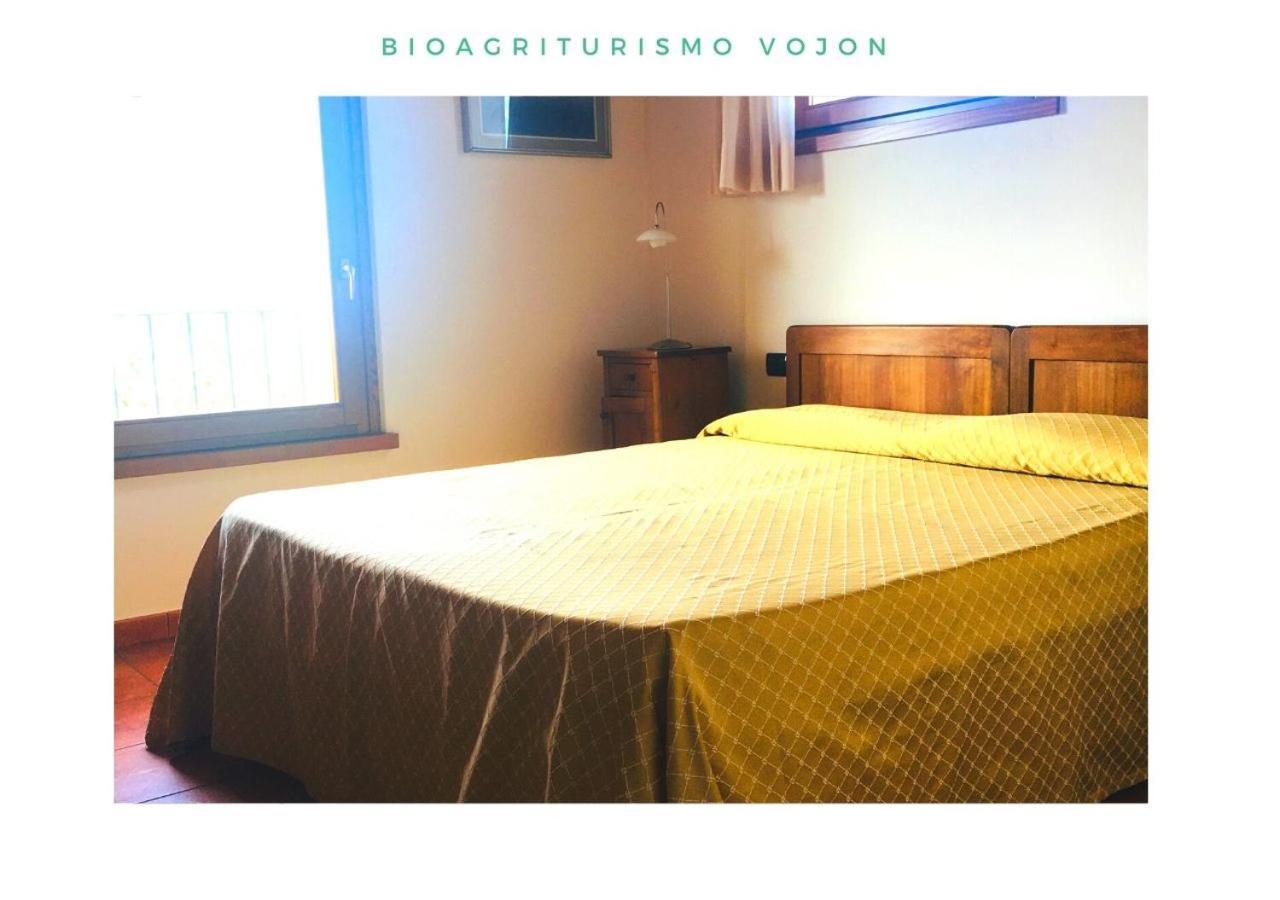 Bio Agriturismo Vojon Ponti sul Mincio Εξωτερικό φωτογραφία
