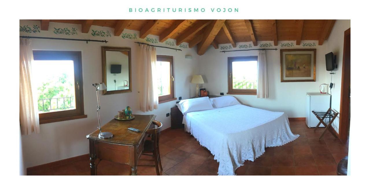 Bio Agriturismo Vojon Ponti sul Mincio Εξωτερικό φωτογραφία