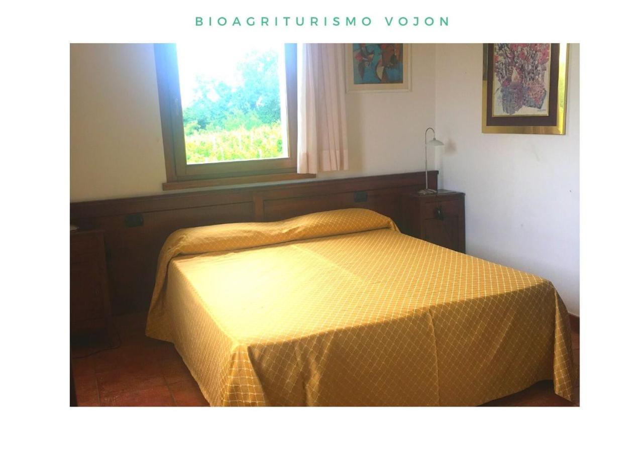 Bio Agriturismo Vojon Βίλα Ponti sul Mincio Εξωτερικό φωτογραφία